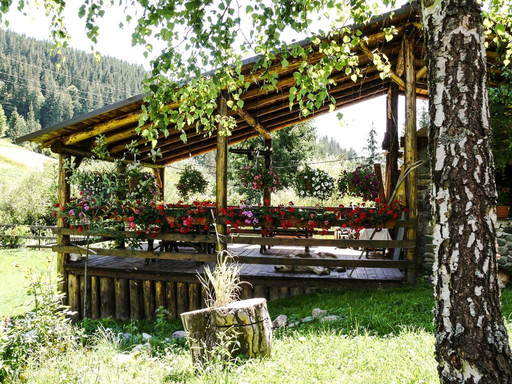 Pensiunea Casa Noastra Arieşeni Dış mekan fotoğraf